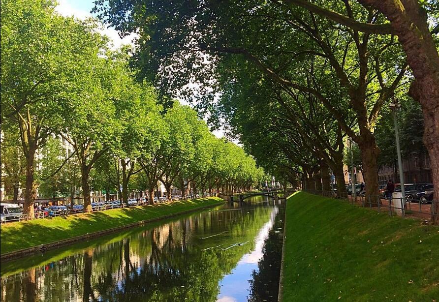 杜塞爾多夫國王大道.jpg 杜塞爾多夫國王大道.jpg